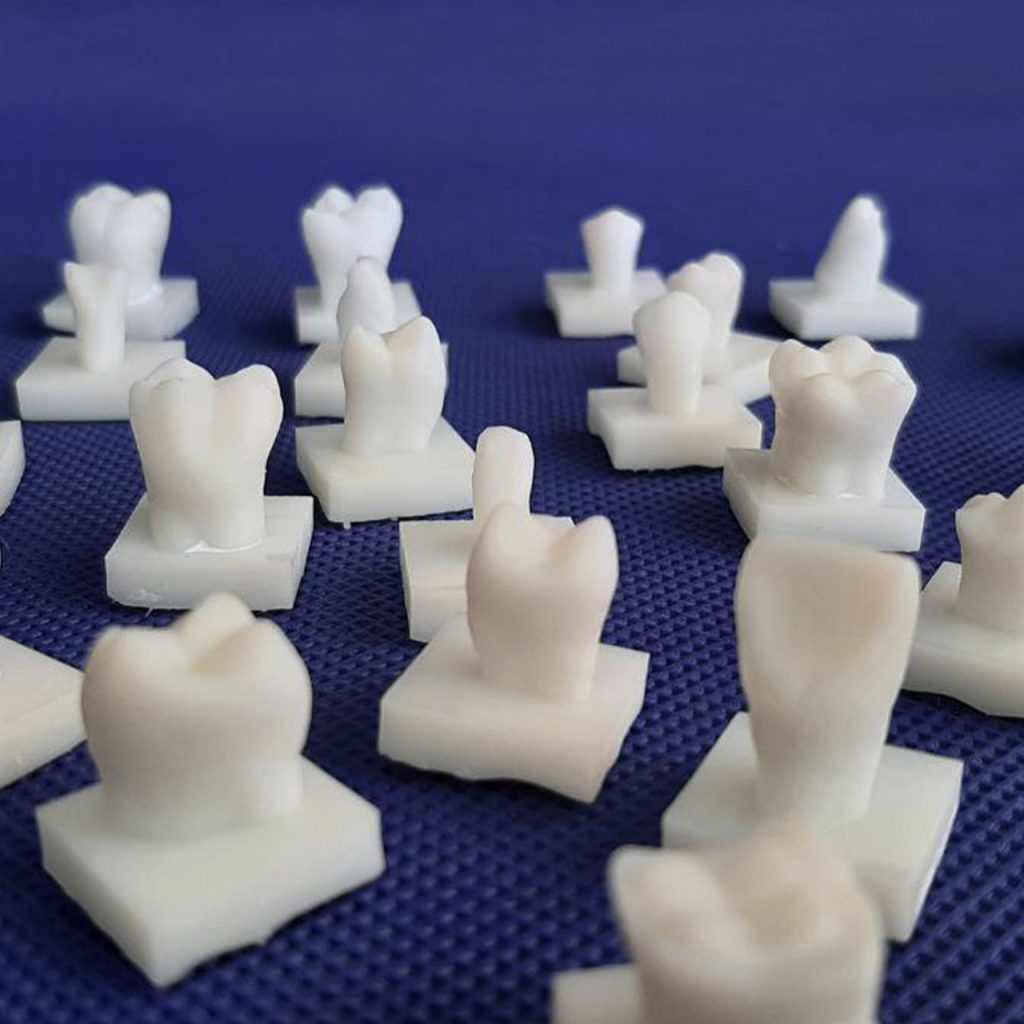 خدمات پرینت سه بعدی رزینی 7 teeth-model---3d-printer-by-resin-printer---afzasaz